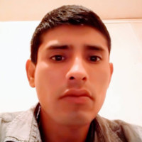 luis alberto farfan flores