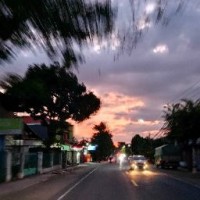 Rinayatul Sofia