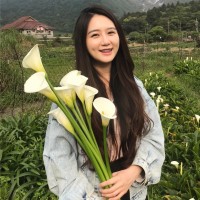 Shanchi Wu