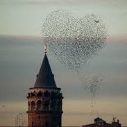 İstanbul-Bostancı Acentesi