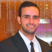 Mohamed Mohie
