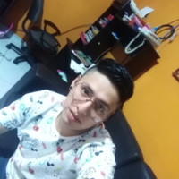 Luis angel Llamoja saravia