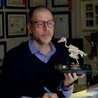 Dino Pulerà, MScBMC, CMI