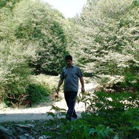 Kamran Bagirov