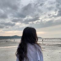 Chi Quỳnh