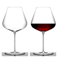 Fernando Sachocos Calvo