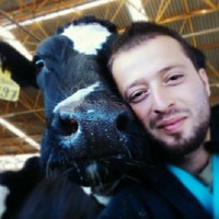 durmuş uygun