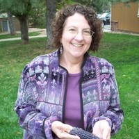 Julie Klauss