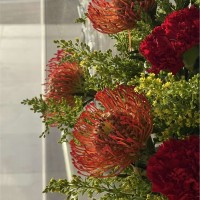 Khuloud Al Shamsi