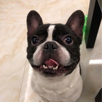 韩薇薇