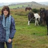 Sue Twigg