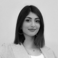 Paniz Nafisi