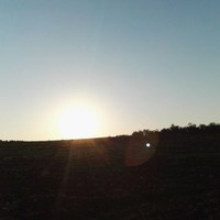 Sabah Alshbool alshbool