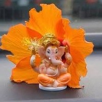 Sheelendra Singhrathore