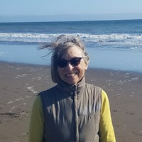 Cynthia Wolf