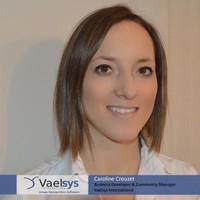 Caroline Crouzet - Vaelsys