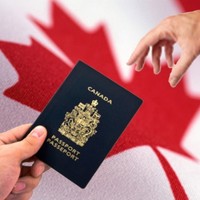 Canadian Immigration Solution