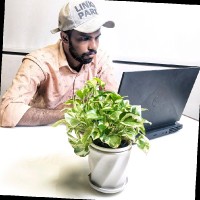 Abil P Raju