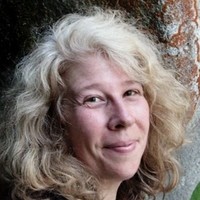 Copper Anna Resnik, Msw, Lgsw