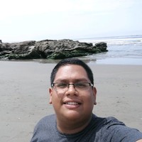 Flavio Castillo Gomez