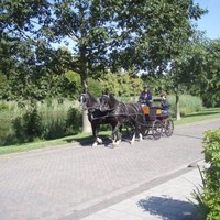Jan Dirk Strockmeijer