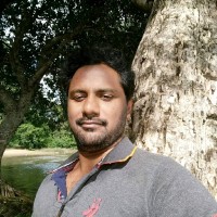 Laxminarayana M