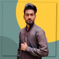 Ameer Hamza Ranjha