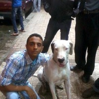Besho Soliman