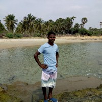 Raja Hussain