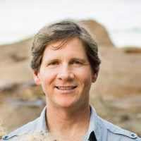 mark norris