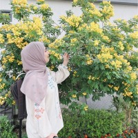 Elaf Ahmed