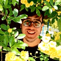 Seyed Ata Tabatabaei