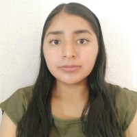 IRENE LUIS RIVERA