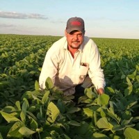 Igor Henrique Ugliani