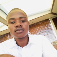 Sphamandla Majozi