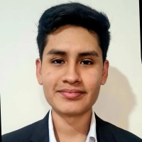 Nestor Tamayo Mendoza