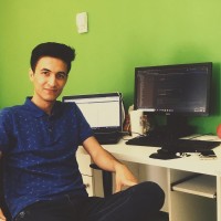 Hossein P.