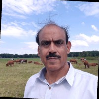 Mahmood Chaudry