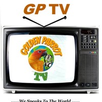 Golden Parrot Entertainment