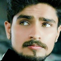Muhammad Noman Anjum