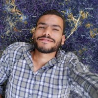Mahmoud Mounir Zayed