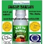 green barley philippines