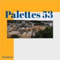 Palettes 53 CHOPIN YANNICK