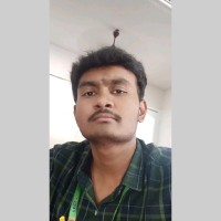 Dinesh N