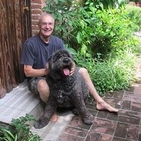 Ron krayewski