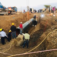 PETRORAJ Technical Services