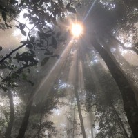 my intention focus