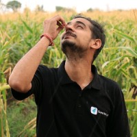 Ashutosh Ranjan