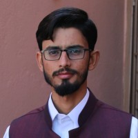 Muhammad Adeel