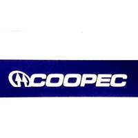 coopec colégio albert sabin